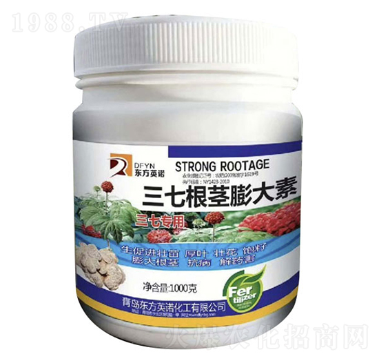 ���߸��o�����-�|��Ӣ�Z