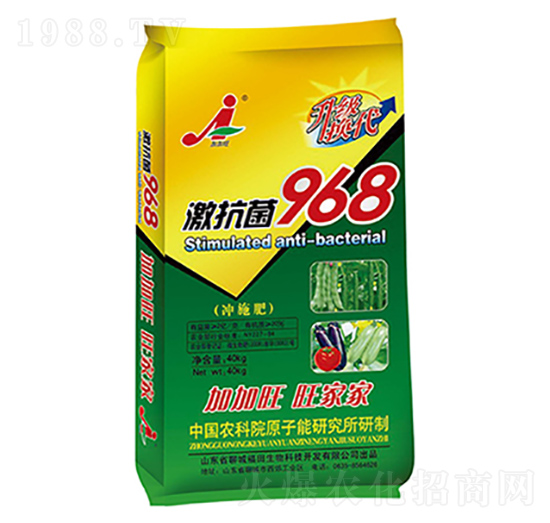 ������968�Gɫ����(j��)-��������