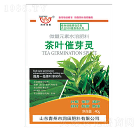 ���~��ѿ�`-�������