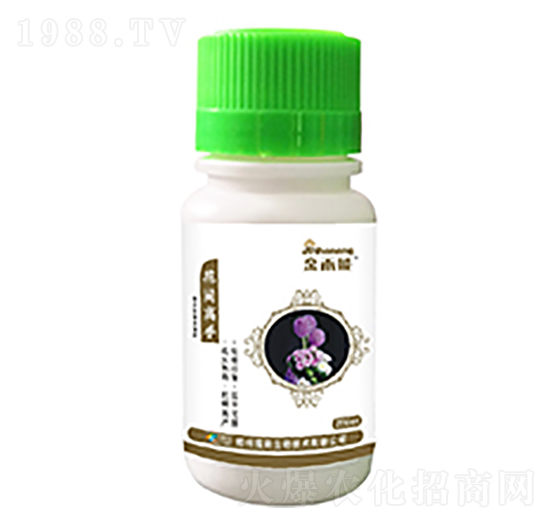 ���g����-����(zhu��n)��-�κ��r(n��ng)�I(y��)