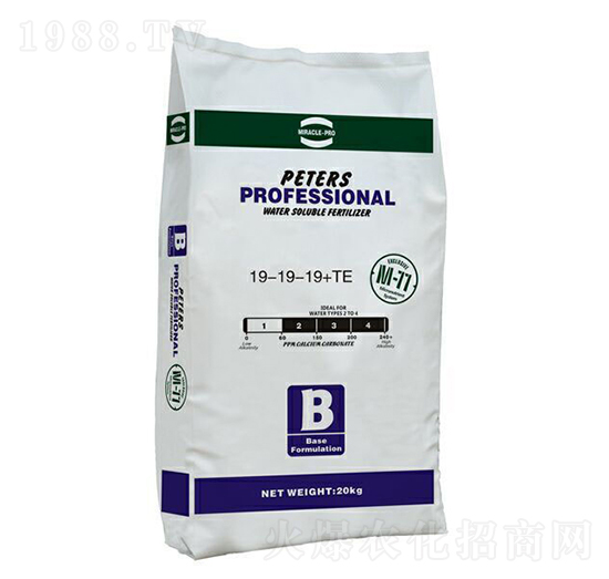 ��Ԫ�ͺ��x�ӷ�19-19-19+TE-��(y��u)�{��