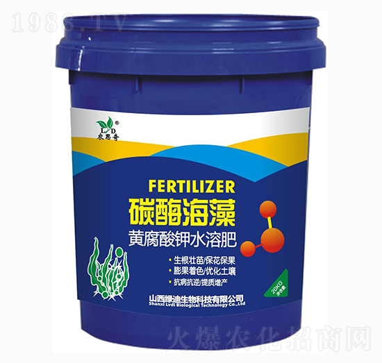 ̼ø����-�r(n��ng)˼��-�G��