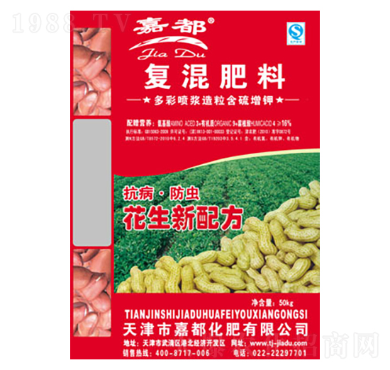 �����䷽�ʏ�(f��)�����-�ζ�