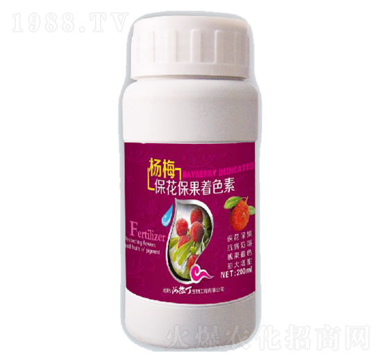 ��÷����������ɫ��-������