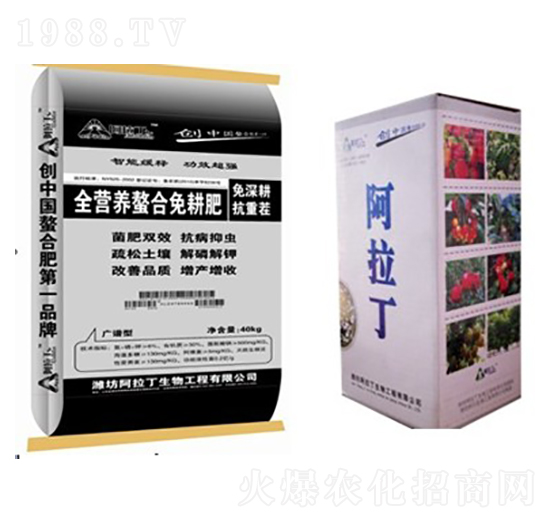 ȫ�I(y��ng)�B(y��ng)���������-������