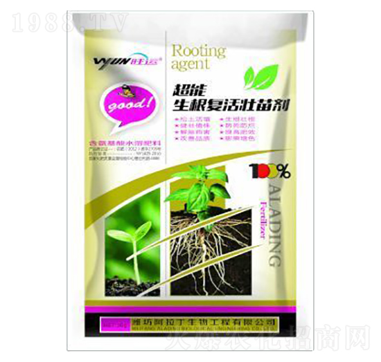 ������(f��)����焩-������