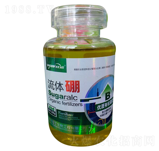 220g���w��-������