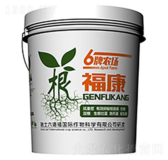 ������-������