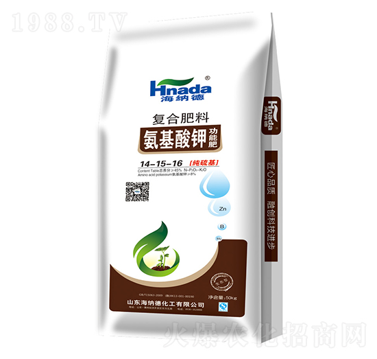 ������⛹��ܷʏͺϷ�14-15-16-���{��