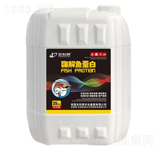 ø���~����-�����R