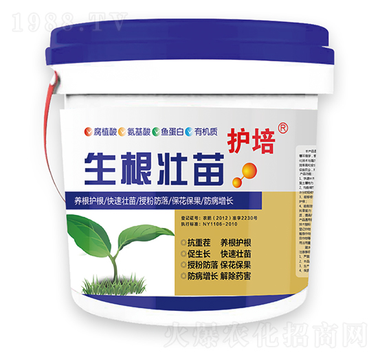 �o�����������-�r��