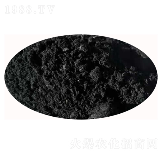 ����̿-����