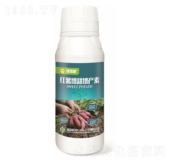 �t���������a(ch��n)��-�G����-�L(zh��ng)�S����