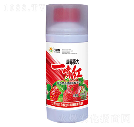 ��ݮ���һ���t-�f�ﴺ