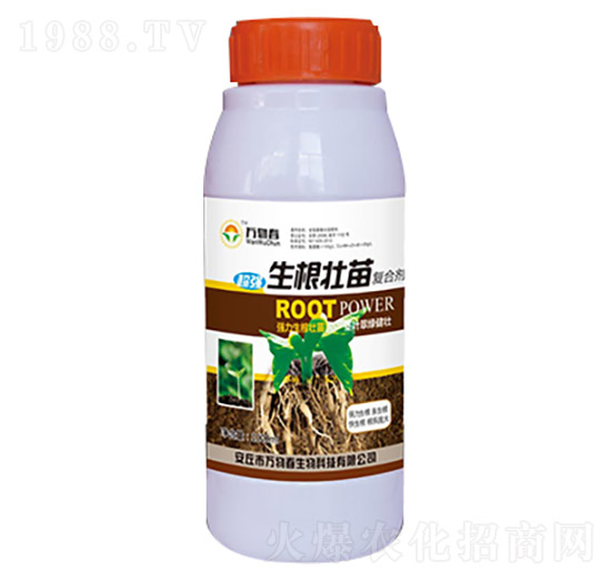 1000ml���������(f��)�τ�-�f(w��n)�ﴺ