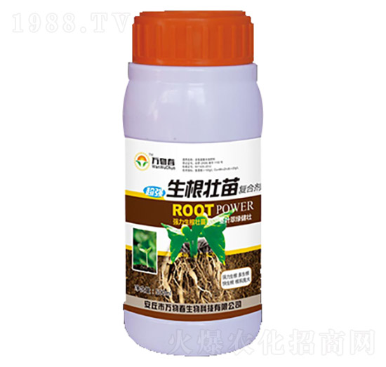 500ml���������(f��)�τ�-�f(w��n)�ﴺ