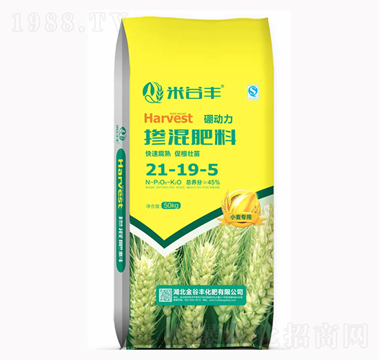 �������21-19-5-�׹��S-����S����