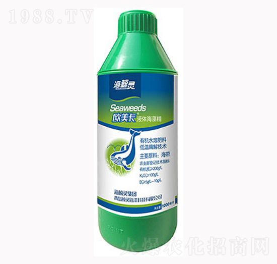 ���徫-�W����-�L�`