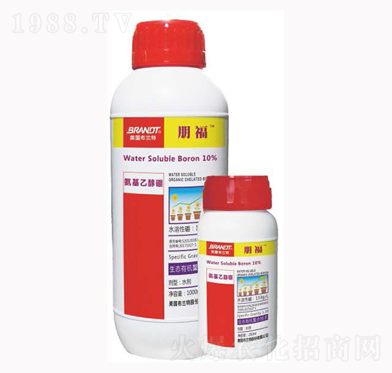 �����Ҵ���-��-¡�ꠖ