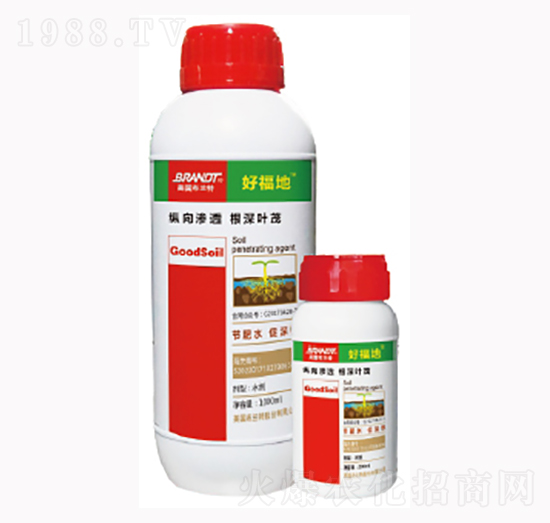 �ø���-¡�ꠖ