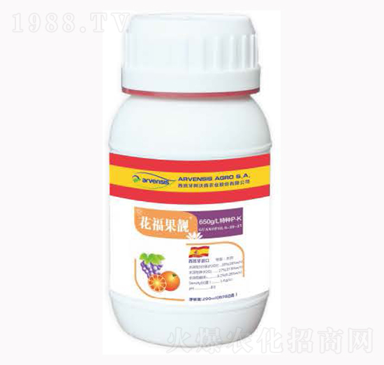 �������n-¡�ꠖ