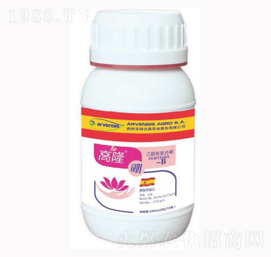 ��¡��-¡�ꠖ