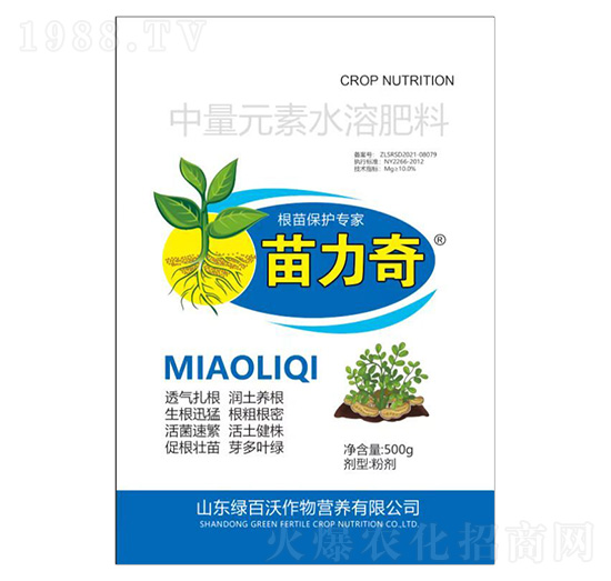 ���籣�o����-������-�G����