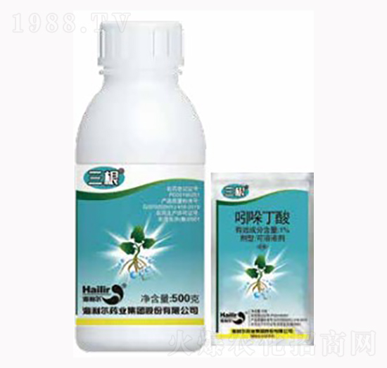 ���ᶡ��-����-������