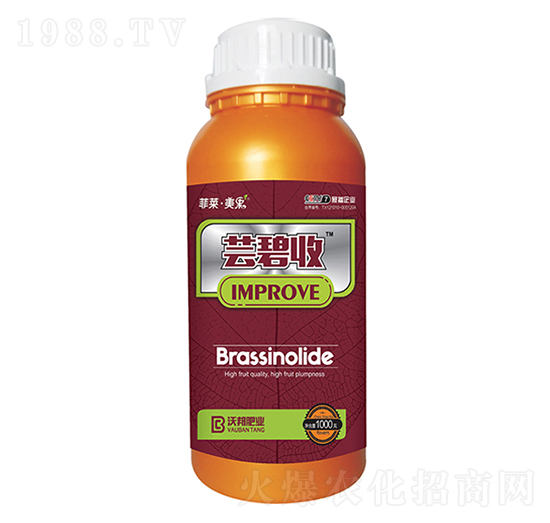 �|�����~���-���R������-�ְ�ʘI(y��)