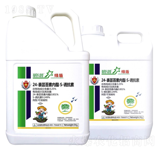 24-���|̦�؃�����S-�T����-�G��-������r