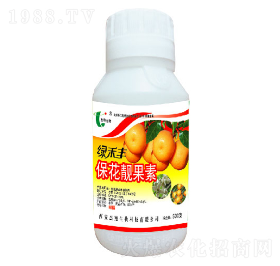 �����n����-�G���S-��������