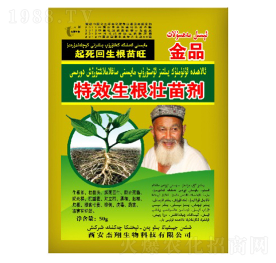 �������焩-��������