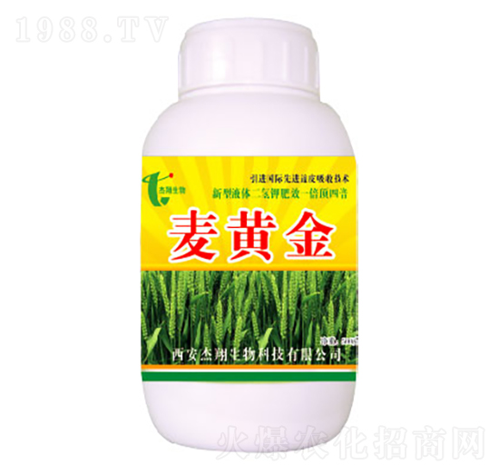 ���S��-��������