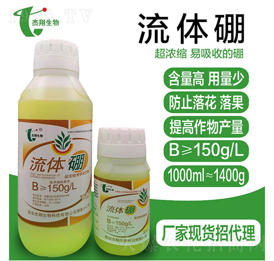 ���w��-��������