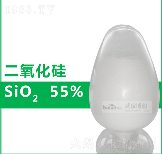 55%�ۄ���������-�����Ƽ�