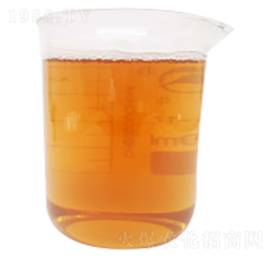 ø�ⰱ���������\-����(r��n)�Ƽ�