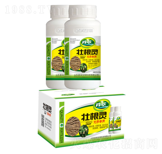 �Ѹ��`�h������-��������