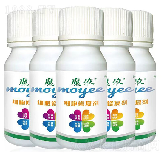 ħҺ��(x��)���ޏ�(f��)��-���a(ch��n)��