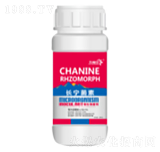 �L(zh��ng)������-�帣��