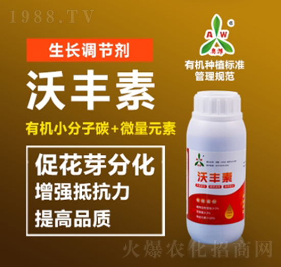 ���S��-�W�S