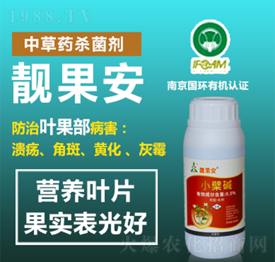 �n�����в�ˎ������-�W�S