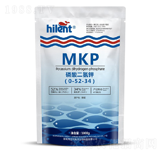 ��������0-52-34-���{��