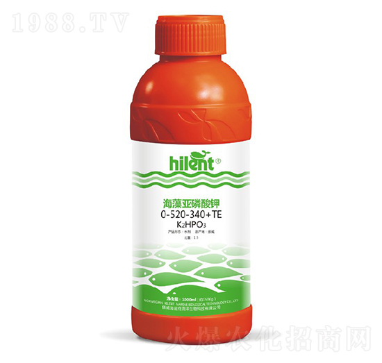 ���偆�����0-520-340+TE-���{��