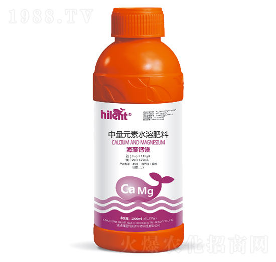 1000ml�����}�V-���{��