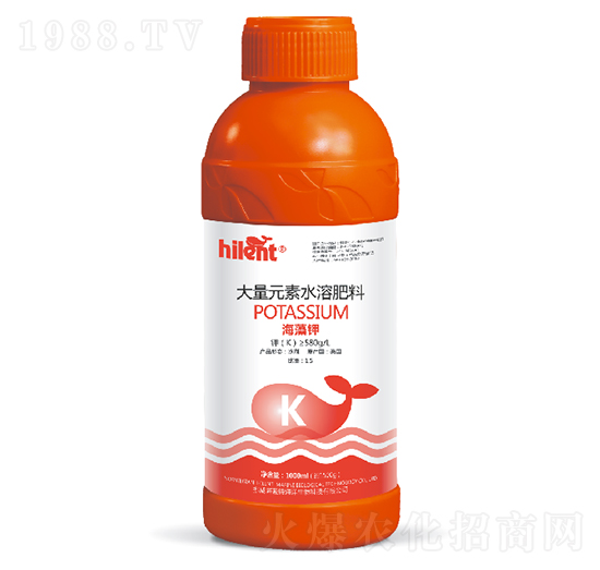 1000ml�����-���{��