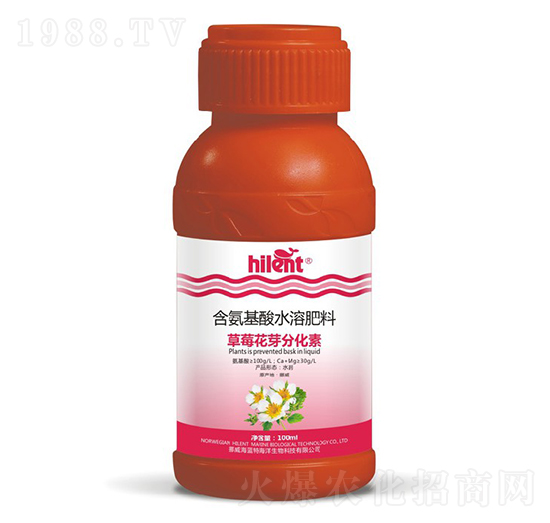 ��ݮ��ѿ�ֻ���-���{��