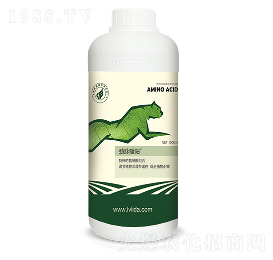 ���{(di��o)��(ji��)���״��M(j��n)��-���}ů�(y��ng)-���}