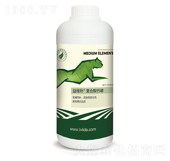 ��S���(f��)�����}��-���}