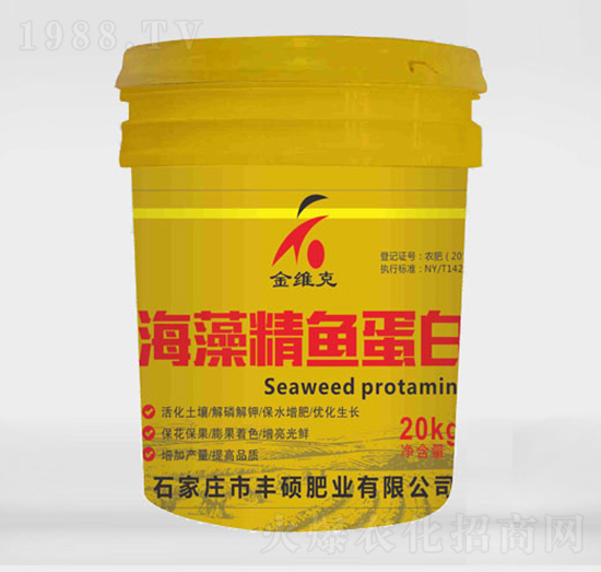 ���徫�~(y��)����-��S��-�S�T���r(n��ng)