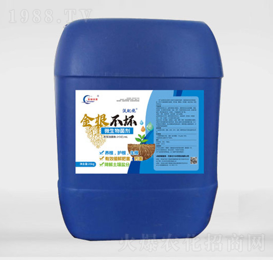 10�|΢�������-�������-�S�T���r